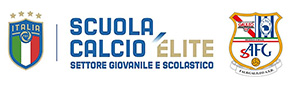 scuola calcio elite - FALKGALILEO